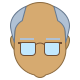 Senior IT consultant icon